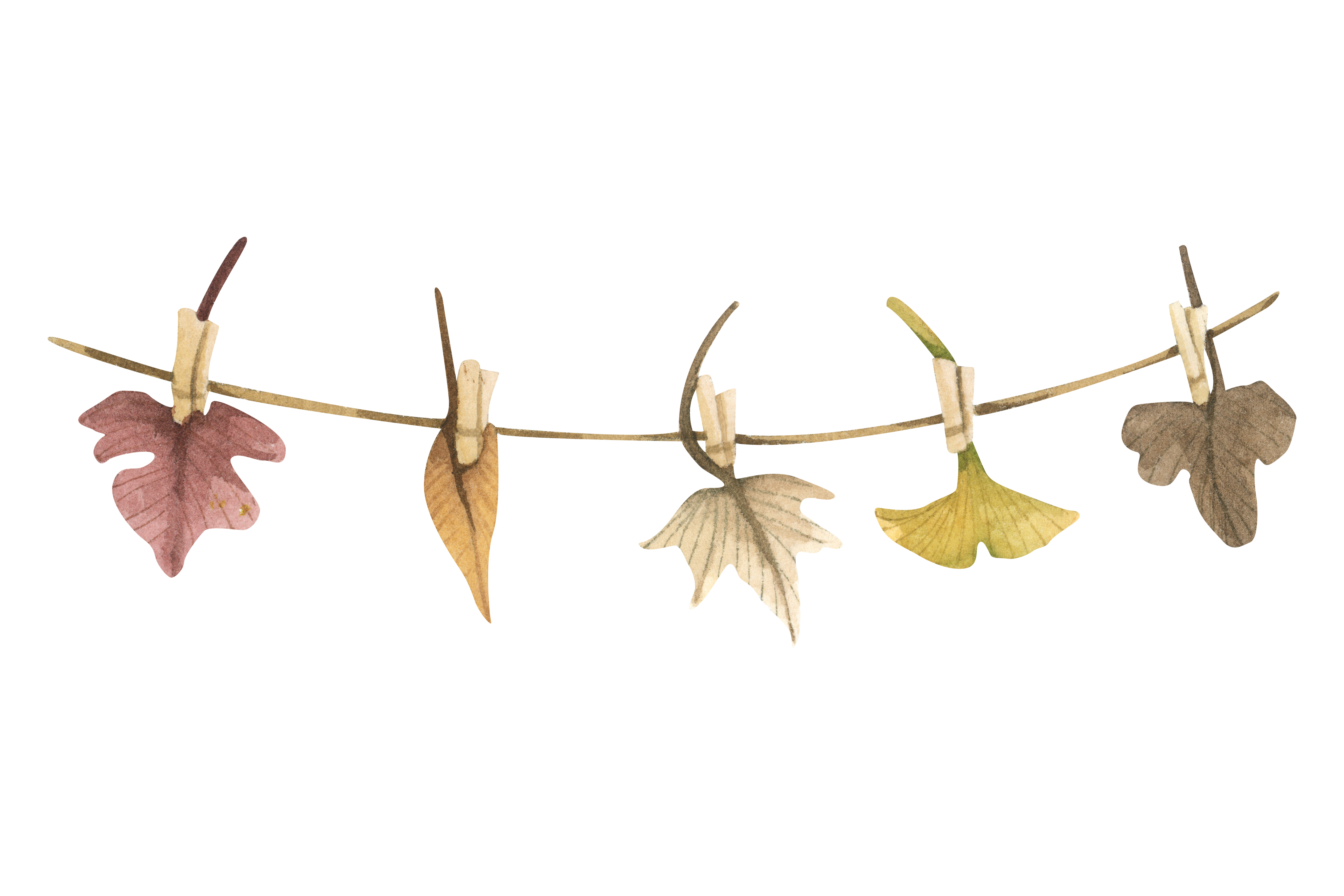 Diseño sin título (11)