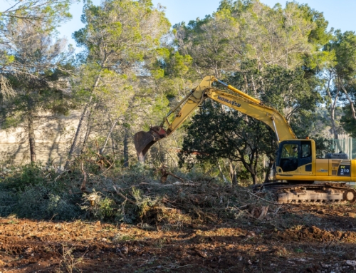 Marratxí impulsa el deporte base con la ampliación de la zona deportiva del pabellón Costa i Llobera