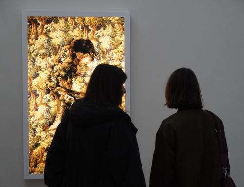 Sa Refinadora inaugura «Territorio errante», l’exposició de Cecilia Paredes