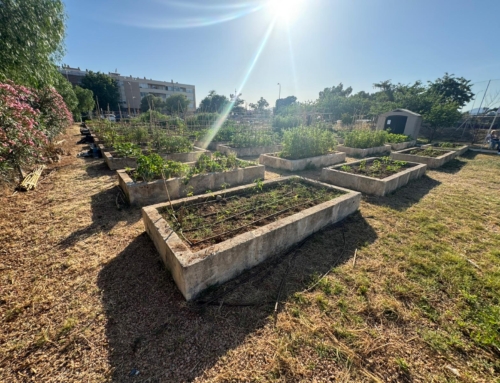 Marratxí inaugura els Horts Urbans Municipals amb una jornada de convivència veïnal